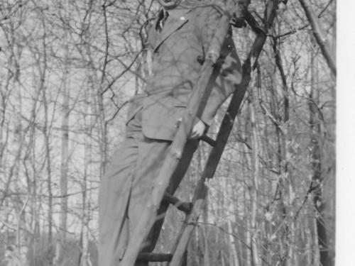 Roland Nordhoff steht auf einer Leiter und blickt in die Kamera. Im Hintergrund Baumgrün.